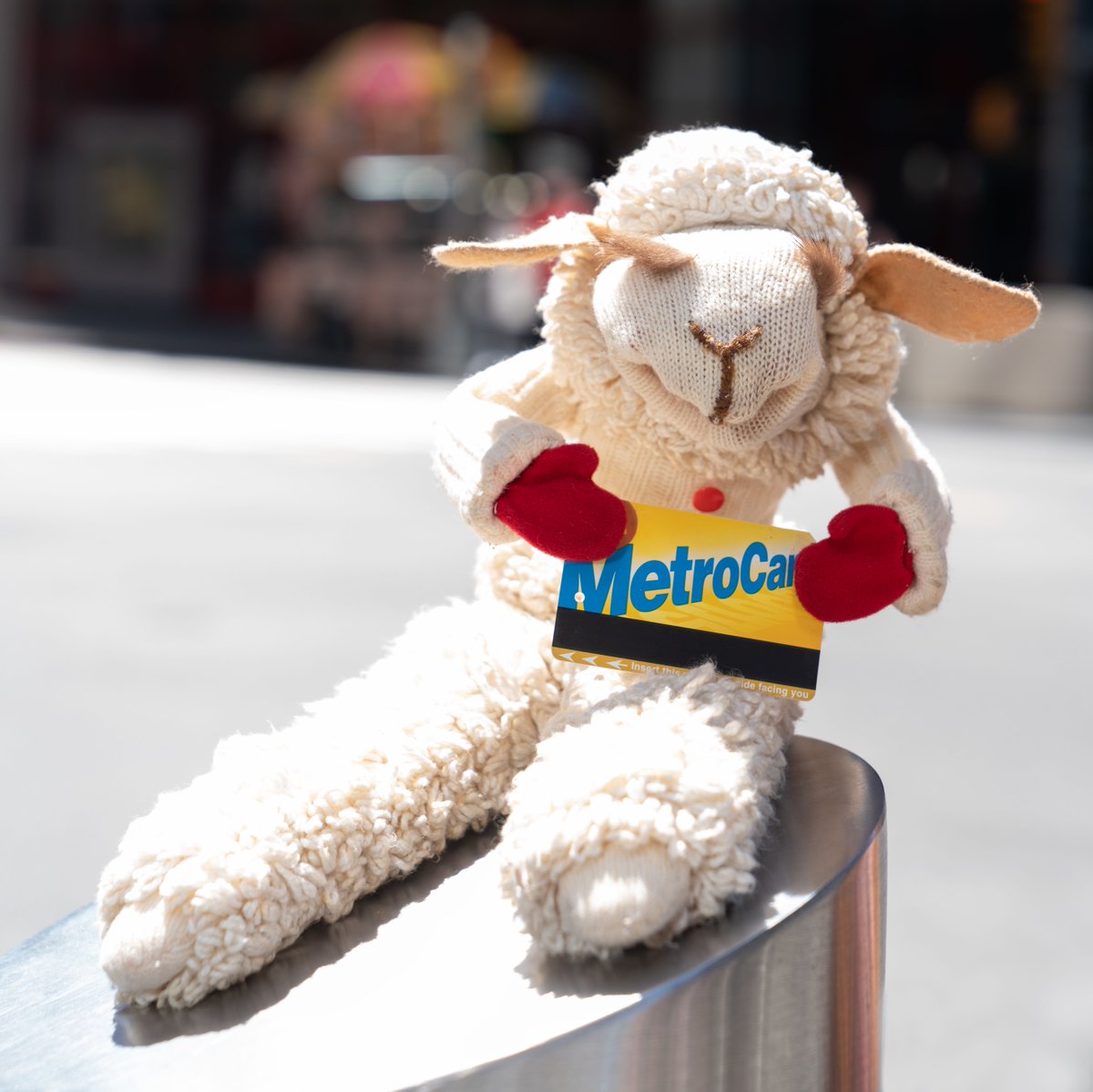 MuseumofCityNY's tweet photo. There are just a few weeks left to see Lamb Chop, Oscar the Grouch, and all their puppet friends in #PuppetsofNewYork! Reserve tickets to catch this exhibition before it's gone. https://t.co/kAzoFLFCsK
πΈ: Asya Danilova https://t.co/W2deqR8yJ8