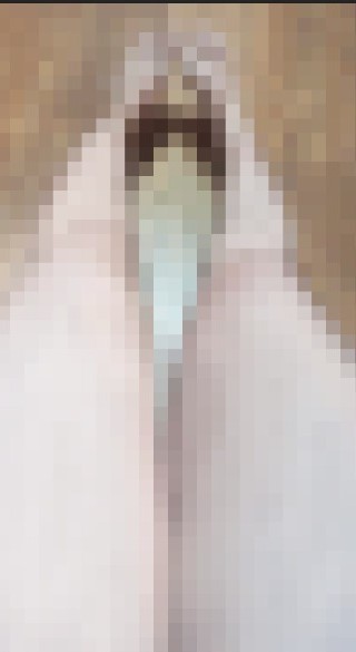 Nimu 2.0 👁️ tweet media