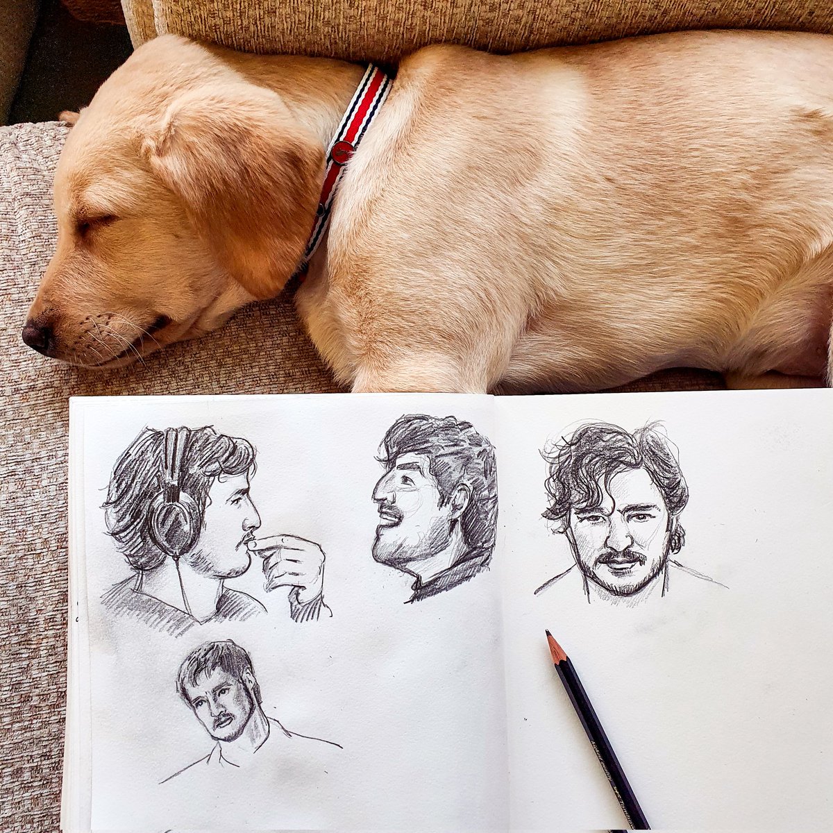 m1nature's tweet photo. This is a Pedro Pascal fan account masquerading as an art twitter.

#sketchbook #pencilsketch #ArtistOnTwitter #pedropascal https://t.co/Jdl6AKKUN9