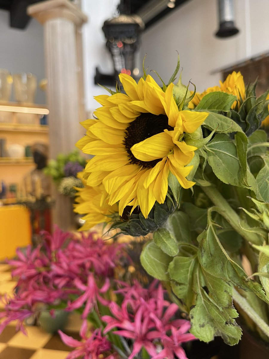 JoeHollywoodLA's tweet photo. #SundayYellow today at #JeanPascal in #RowDTLA! https://t.co/CUMeYdN72f