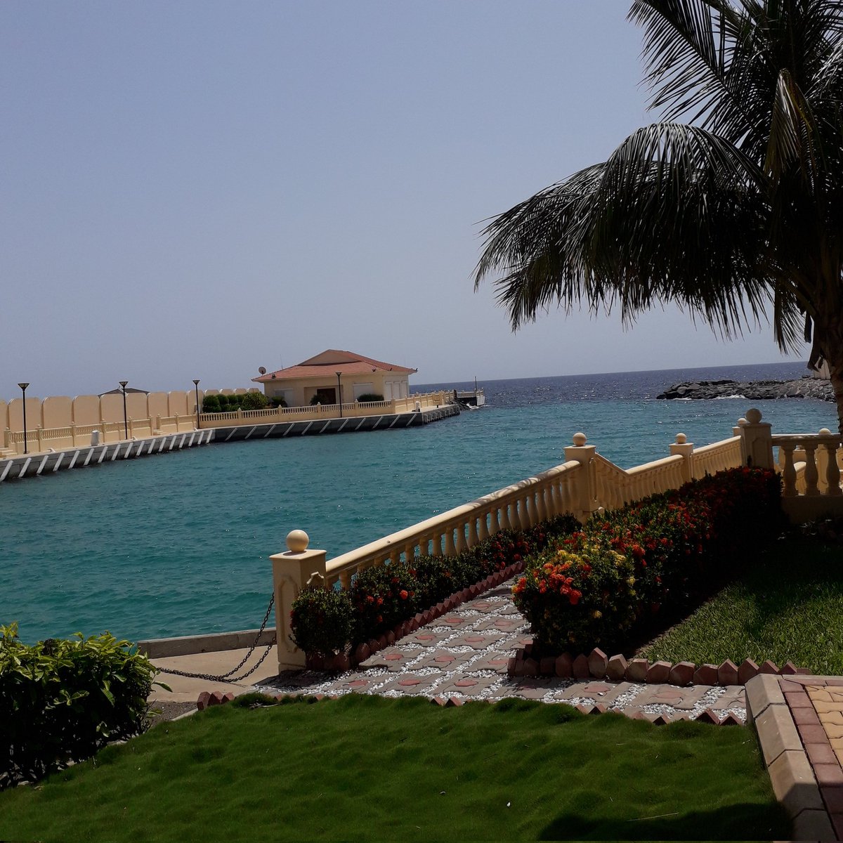 Fatima Akhtar (SDokana) Twitter