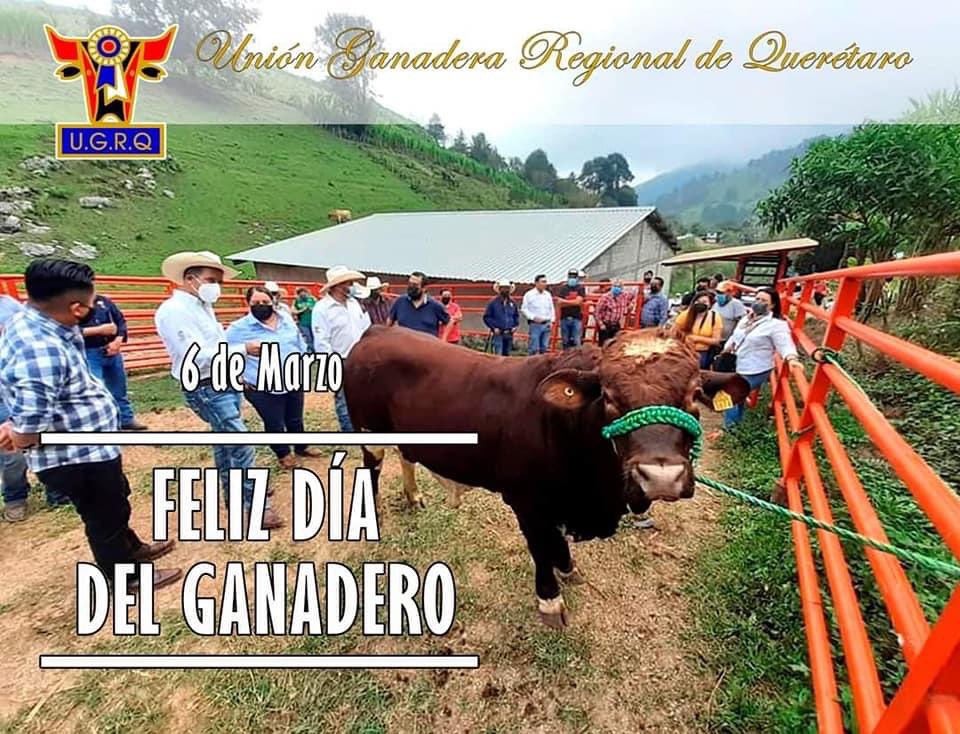 Hoy celebramos el día del ganadero.  Vocación de servir a mexico