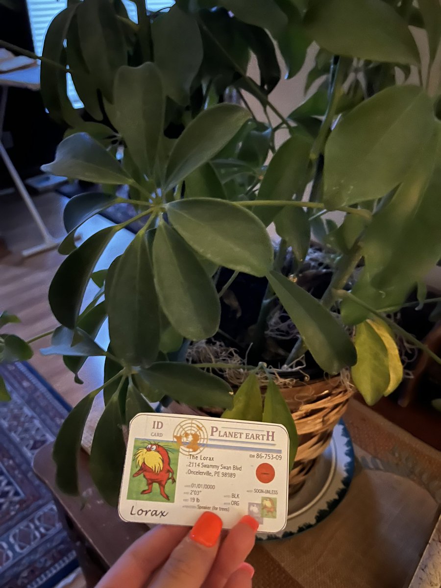 nevdukic00's tweet photo. This is a living plant I have in my house. There are many different things such as fertilizer, peat moss in the plants soil too help keep the plant growing. Keeping it nutritious and thriving! @franklinlorax #apesland https://t.co/uQrQuP8hxU