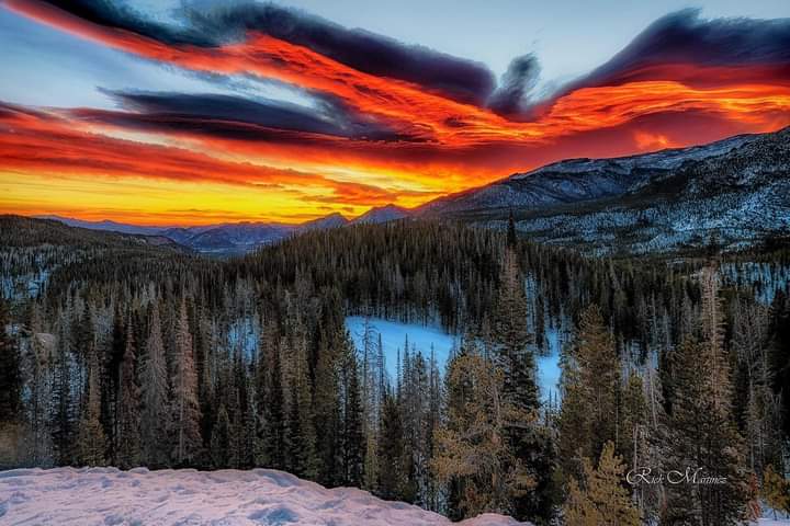 EOtirolf's tweet photo. #DenverNow #nature
RM Digital Productions https://t.co/Eg1WJyEeKP