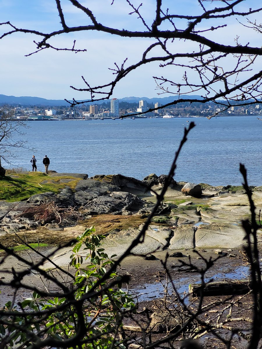 dustinjaywalker's tweet photo. I don't mind the foggy west coast winters at all, but it's damn nice when the sun makes an unexpected appearance. #nanaimo #sundayvibes #vanvouverisland https://t.co/toKmGlTgt1