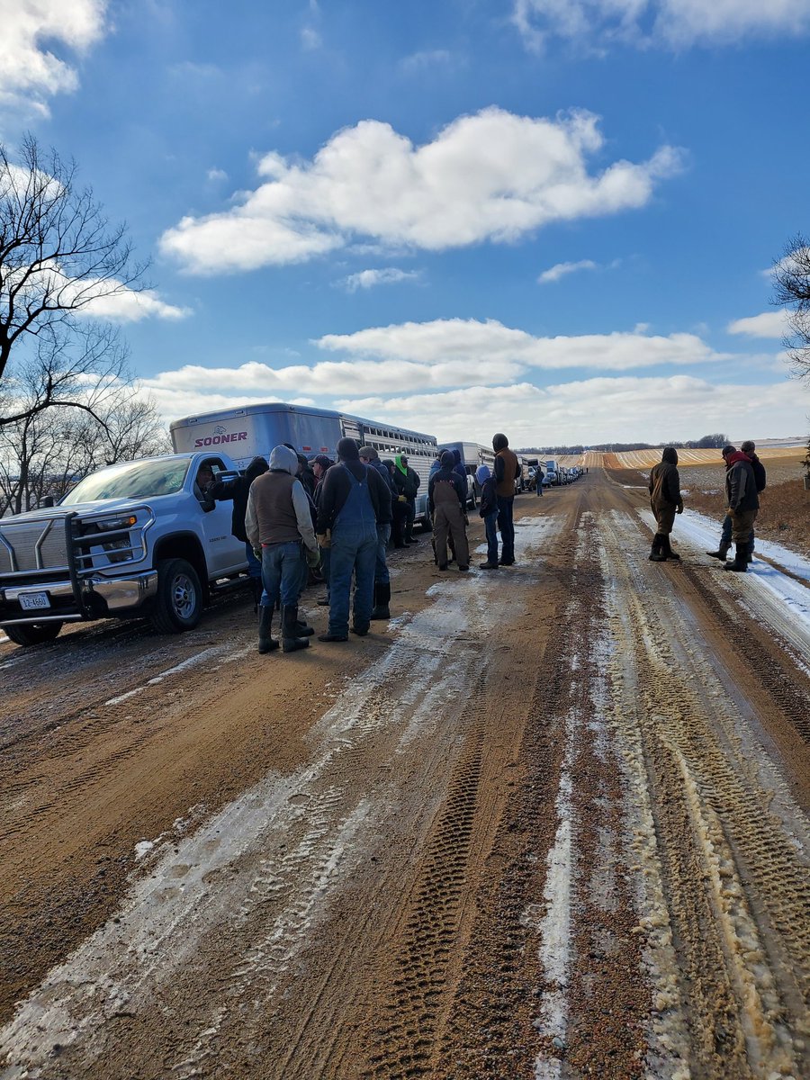 Tim Johnson tweet media