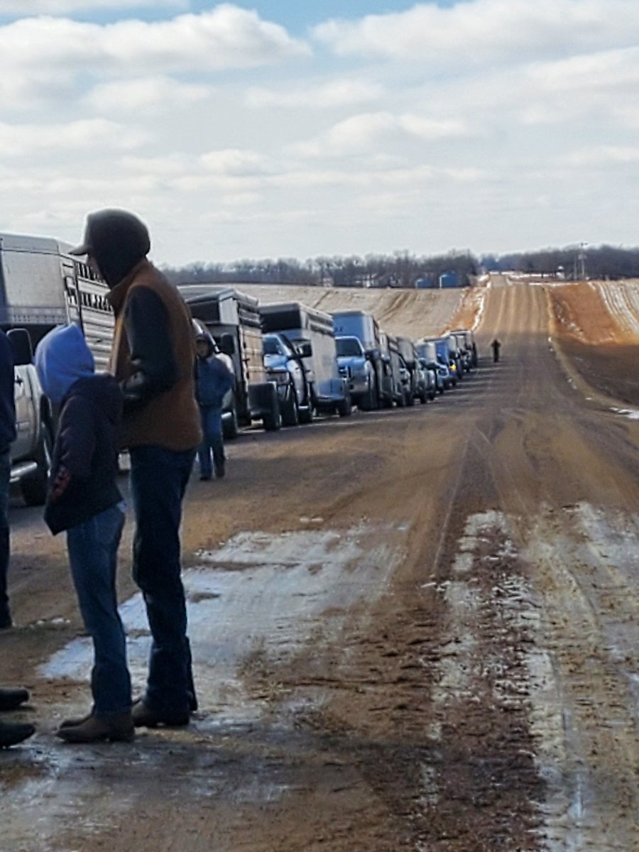 Tim Johnson tweet media