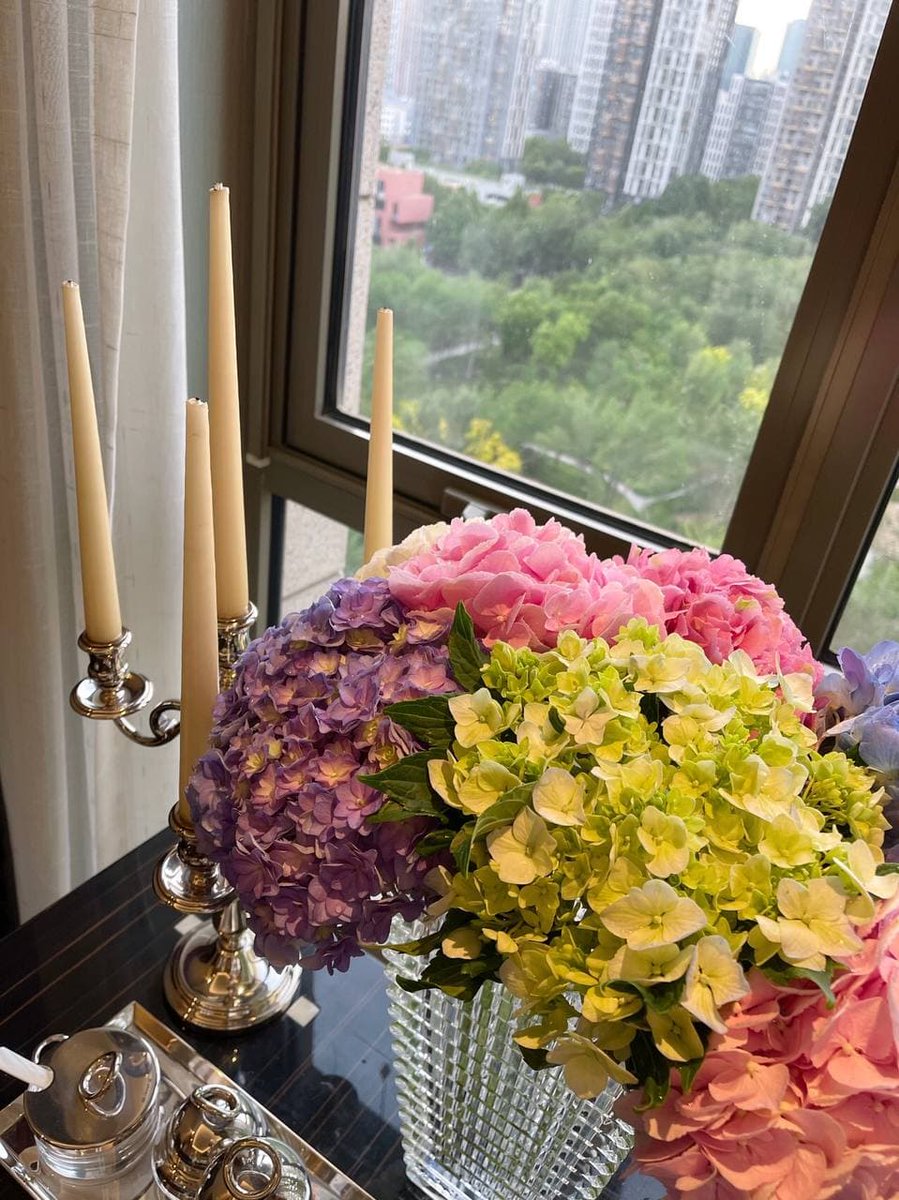 Augustllo's tweet image. A few flowers in the room will always relax you