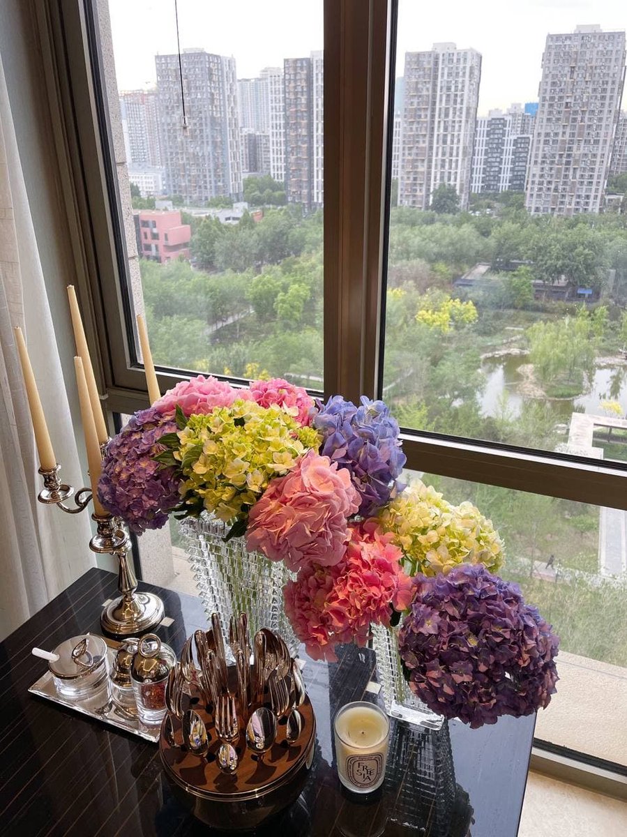 Augustllo's tweet image. A few flowers in the room will always relax you