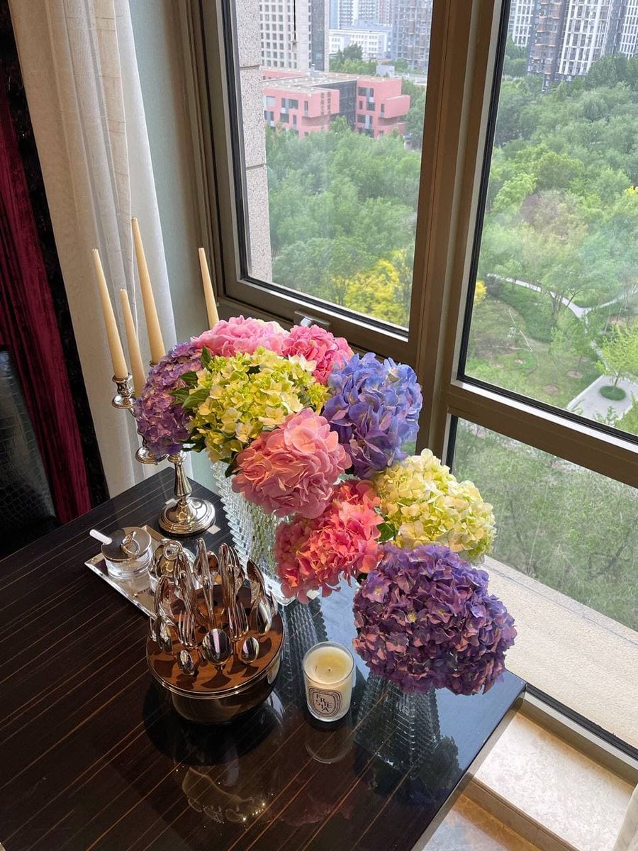 Augustllo's tweet image. A few flowers in the room will always relax you