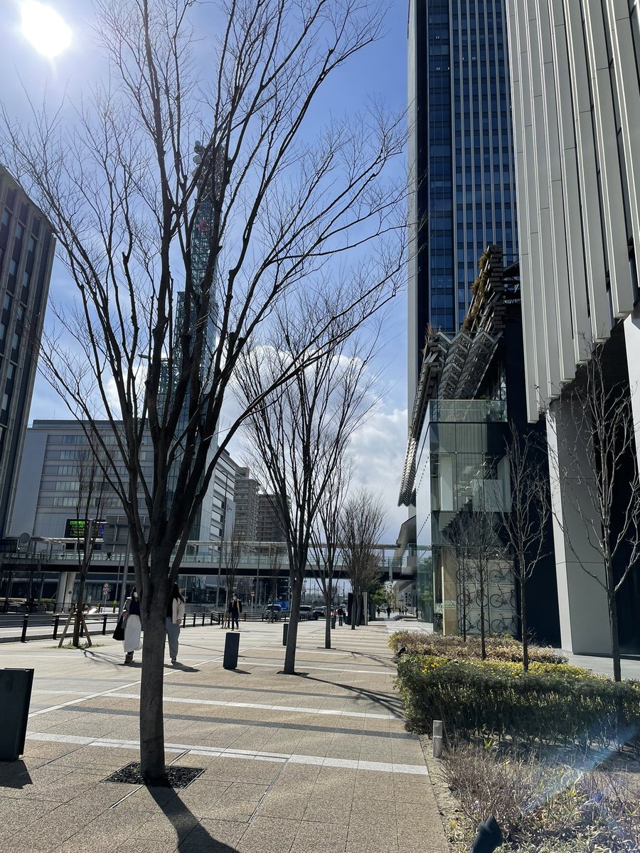 yakapii's tweet photo. #名古屋　開発中のささじま地区
#ウエストサイドストーリー 見てきました😄 https://t.co/0BlWbgJ5Ob