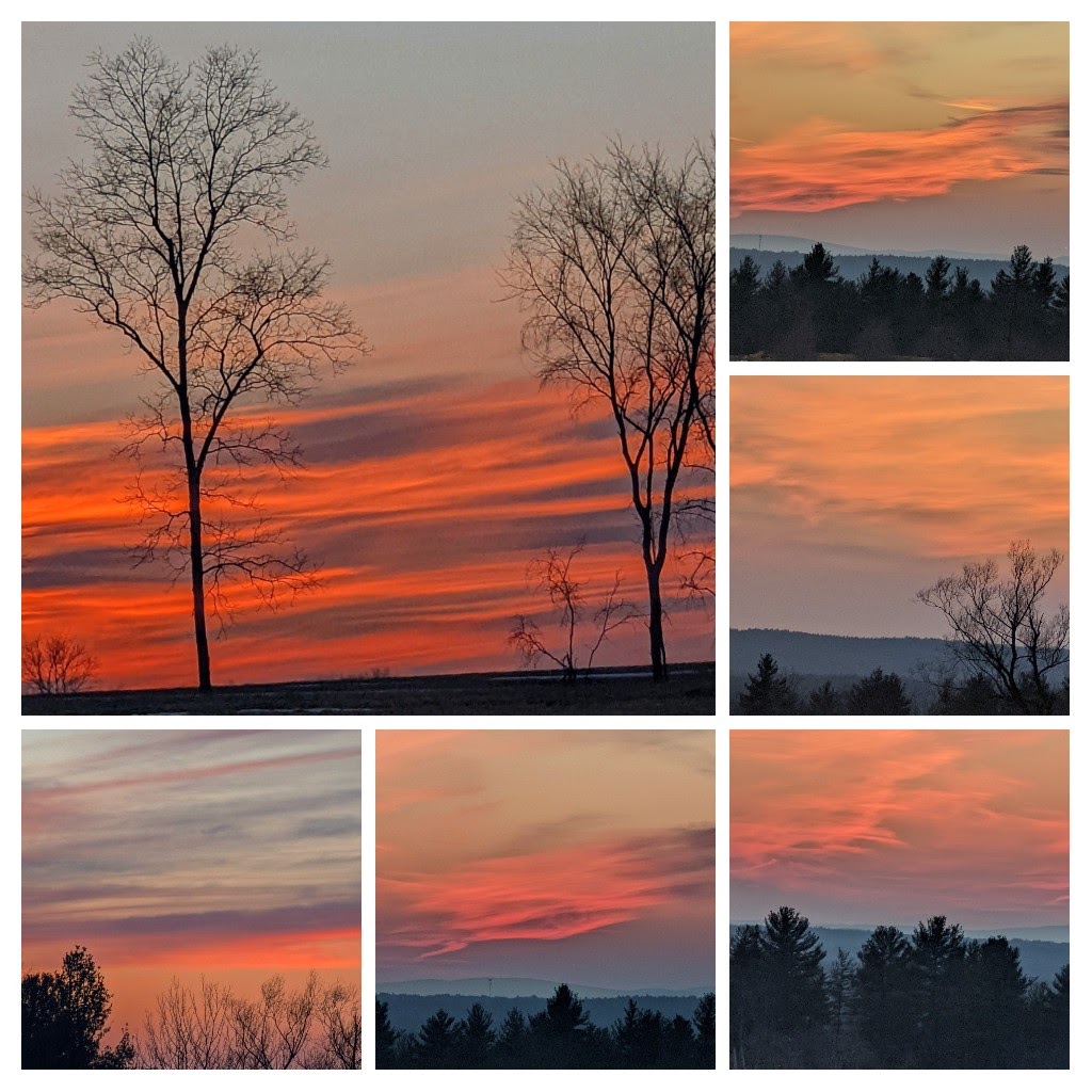 Hello my friends. Pretty sunset from over on the farm in Pepperell, MA. 65 degree day is one and done! Take good care wherever you are! Praying for Ukraine!XX