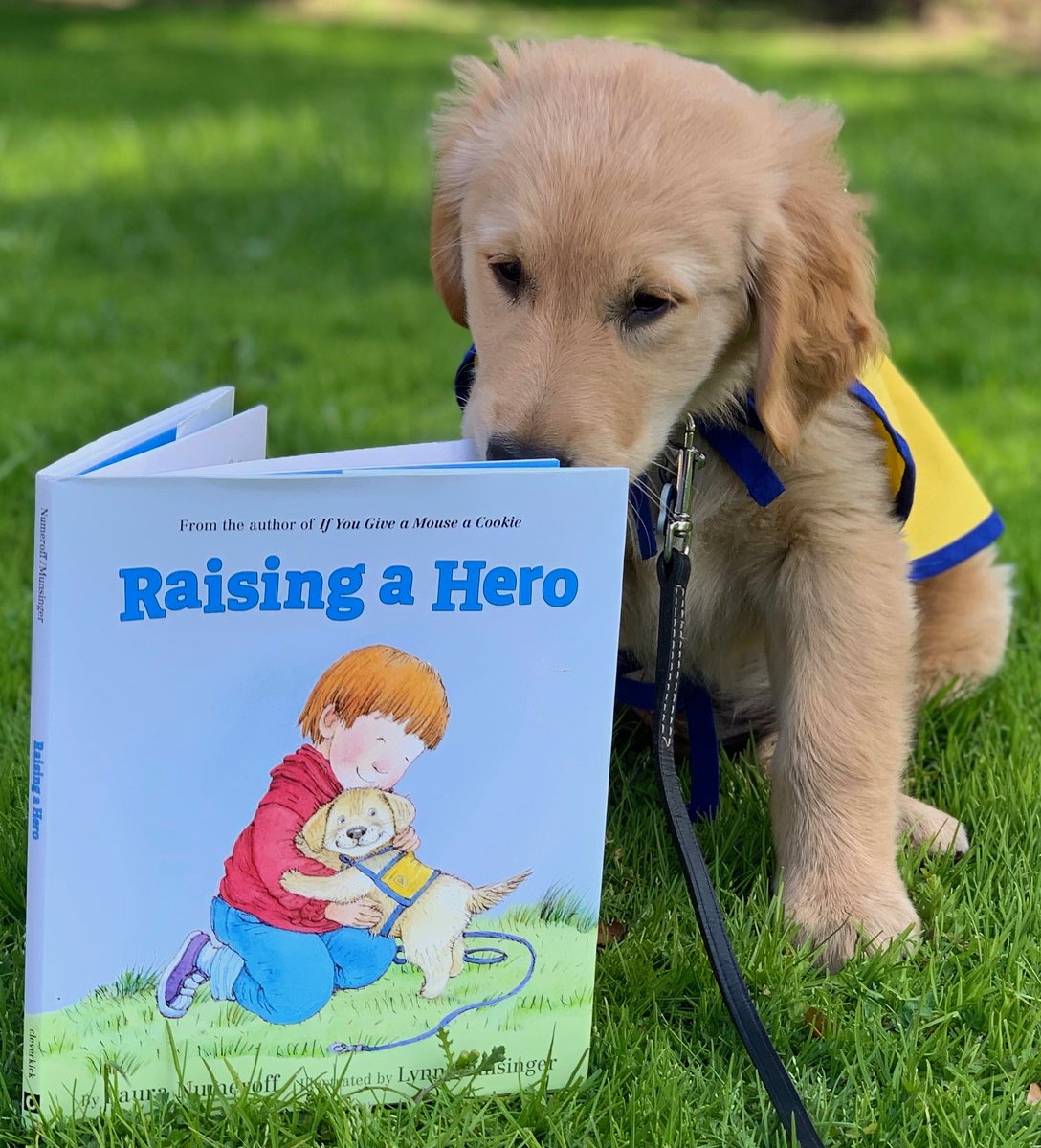 CCI pup Max reading about a puppy in training whose name is Max! I love this photo!!!
