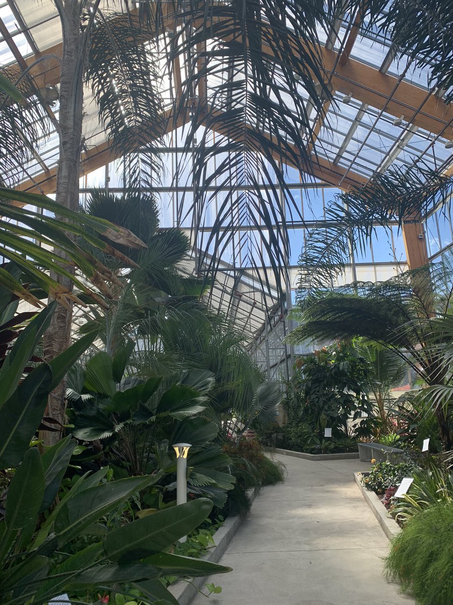 Gage Park Tropical Greenhouse 🌺