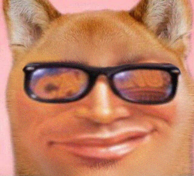 Bob Smith tweet media