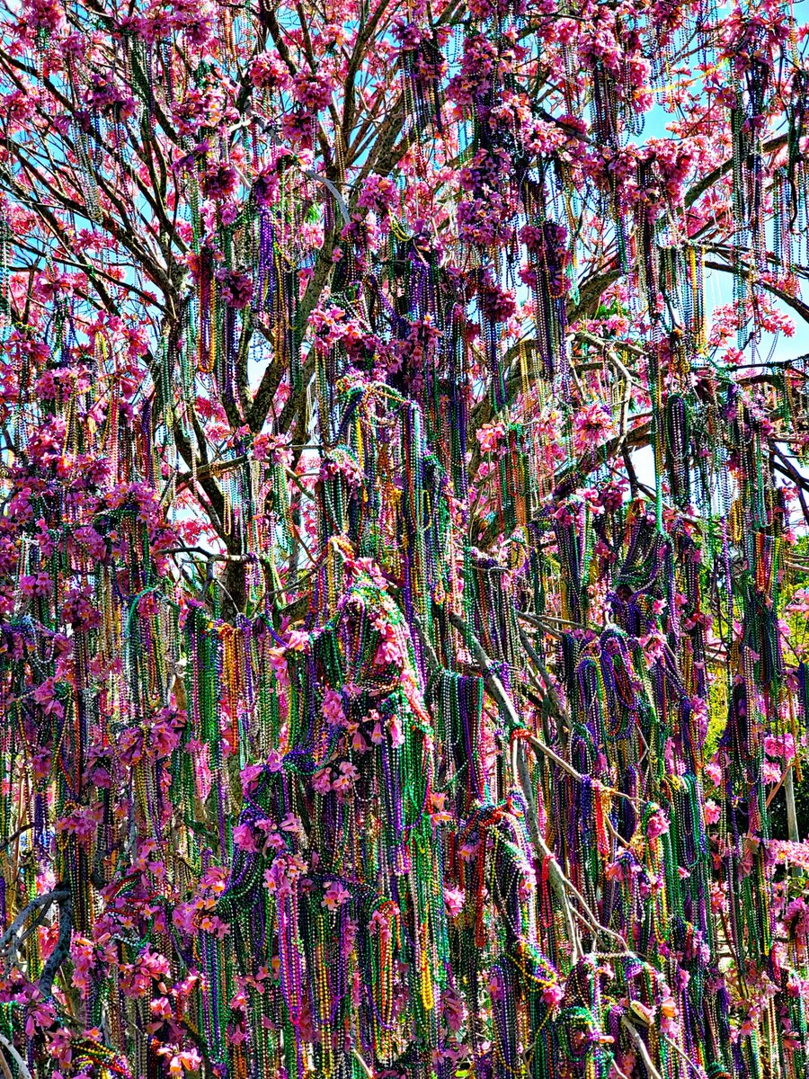 TakeAChanceCos's tweet photo. My my my, what lovely beads you have Bead Tree #beadtree #universalorlando #MardiGras2022 #beadtree2022 @UniversalORL https://t.co/1rO1uhrdPI