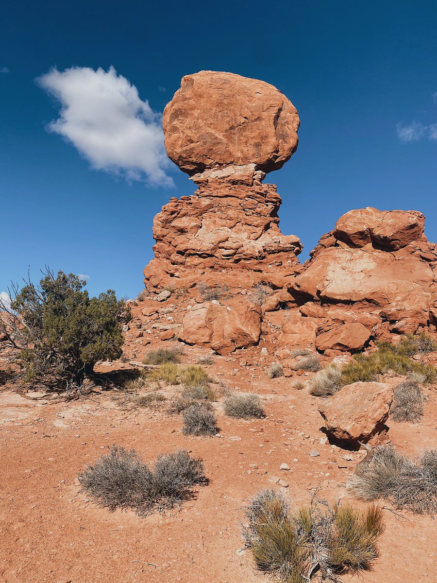 Ms. Freeman tweet media