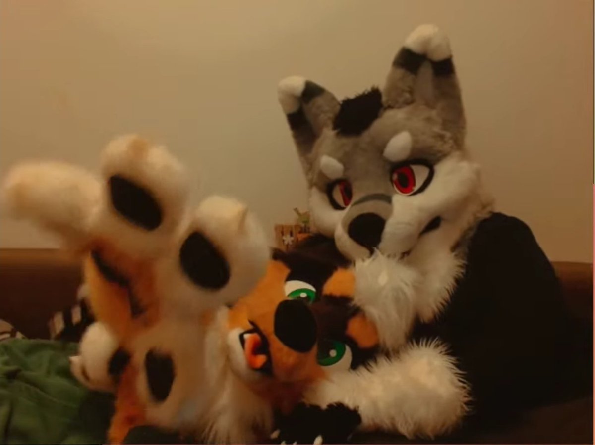 Blake Stormpaw tweet media