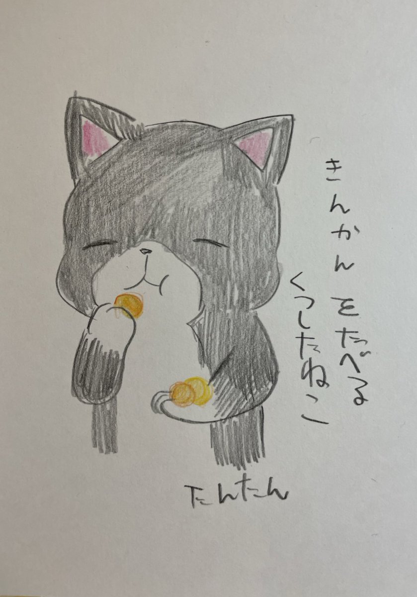 金柑を食べるくつしたねこ

#イラスト #猫 