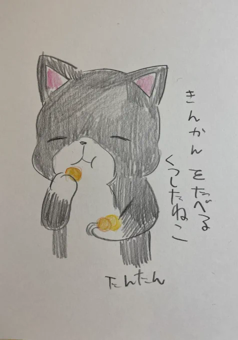 金柑を食べるくつしたねこ

#イラスト #猫 