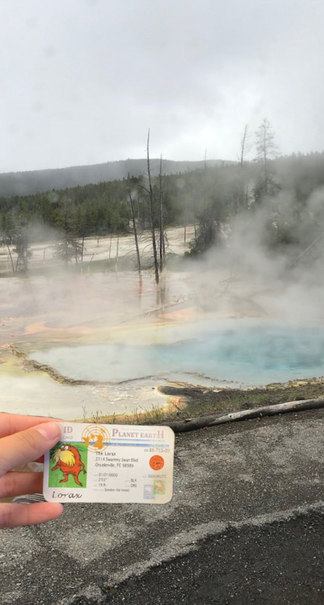 ruffing_megan's tweet photo. #apesland @franklinlorax Here’s a picture of one of the geysers in Yellowstone I took when I was there last. Yellowstone is over a hotspot which occasionally causes these geysers to erupt https://t.co/9XyV3kv80T
