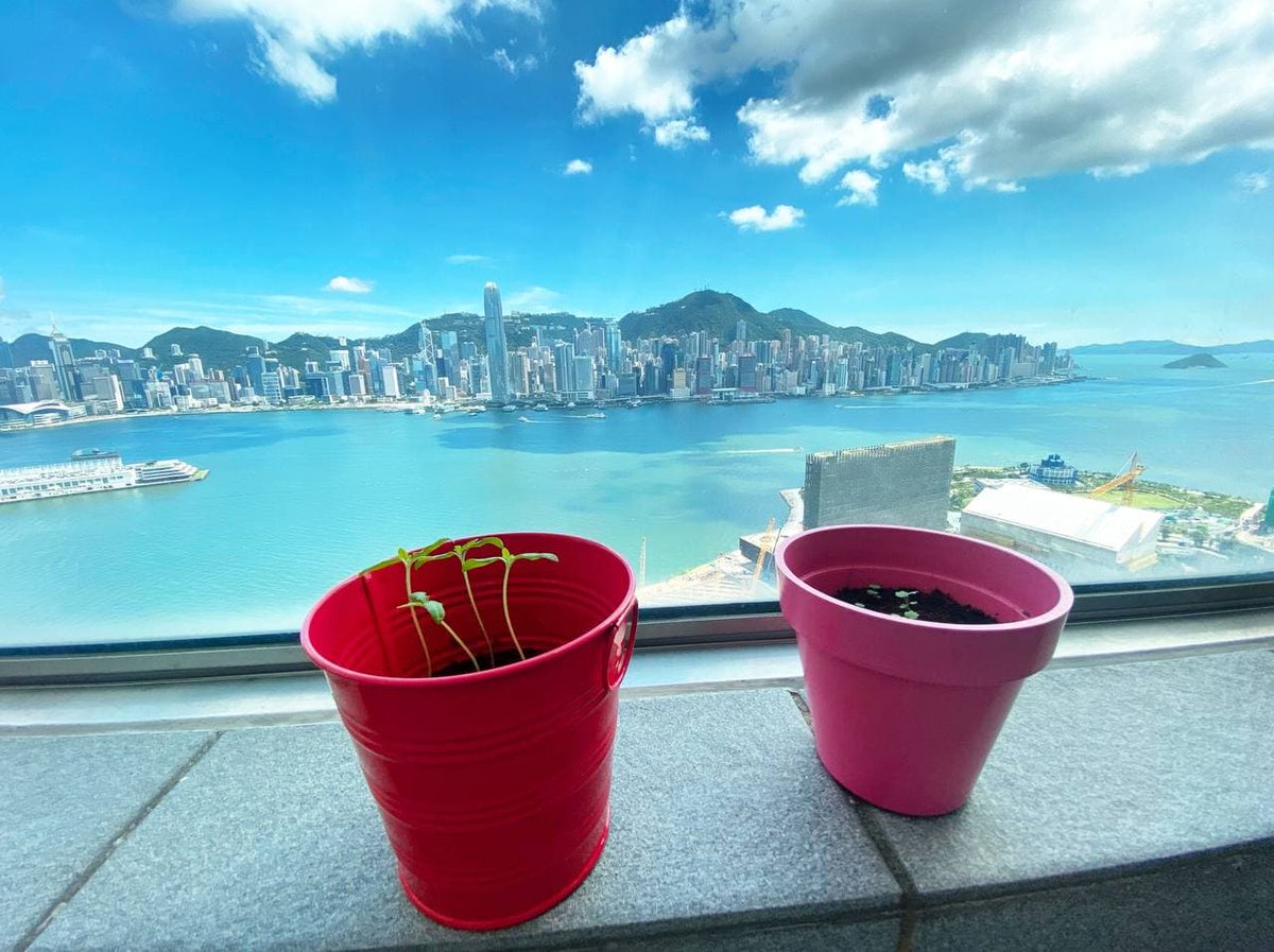 olderkkkk's tweet photo. Everyone goes through this stage, seeing a mountain and wondering what's behind it. But in fact, you may go over the back of the mountain, you will find nothing special, and looking back, you may feel that this side will be better. https://t.co/KbRxz5MSot