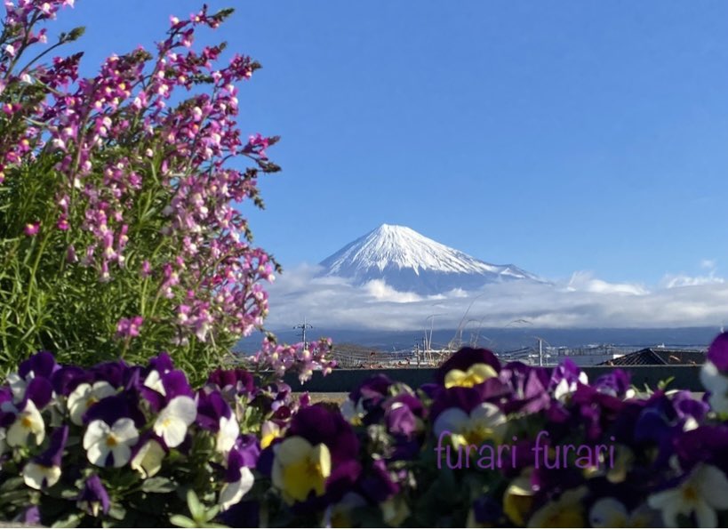 おはようございます🗻 暖かくなったかな…と思ったら 冷たい風。少しずつ少しずつ…。