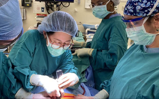 Eastern Cardiothoracic Surgical Society tweet media