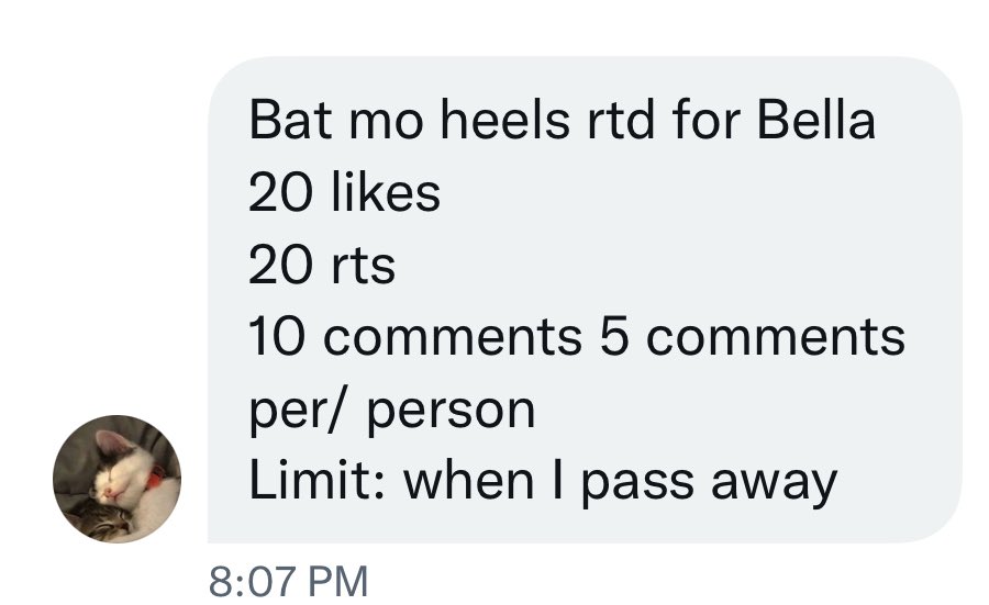 b 🧸 tweet media