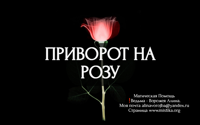 occultstore.org/privorot-na-ro… 
Приворот для мужчины, который хочет приворожить любимую на розу 🌸 Связаться со мной можно по почте alinavorojba@yandex.ru или в Телеграм @vedma_alina  
#приворот #каксделатьприворот #белыйприворот #гаданиеналюбовь #черныйприворот #любовныезаговоры