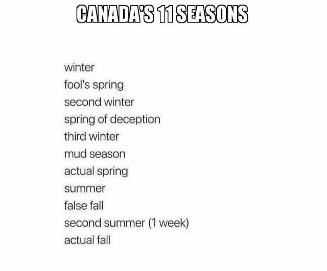 jeffreym99 tweet media