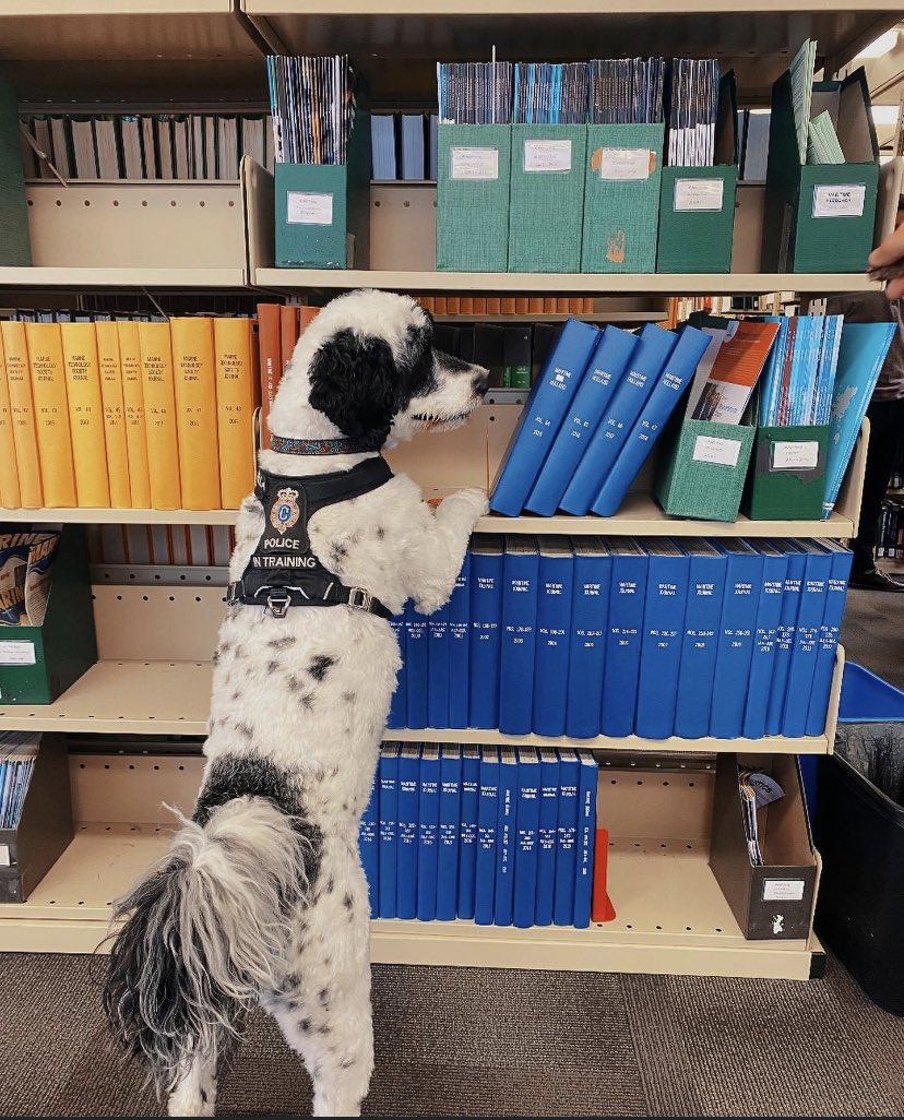 Happy birthday sweet ⁦@RNC_Stella⁩ from ⁦<a href="/CRBLibrary/">Dr. C.R. Barrett Lib</a>⁩ ⁦<a href="/marineinstitute/">Marine Institute, Memorial University</a>⁩ !