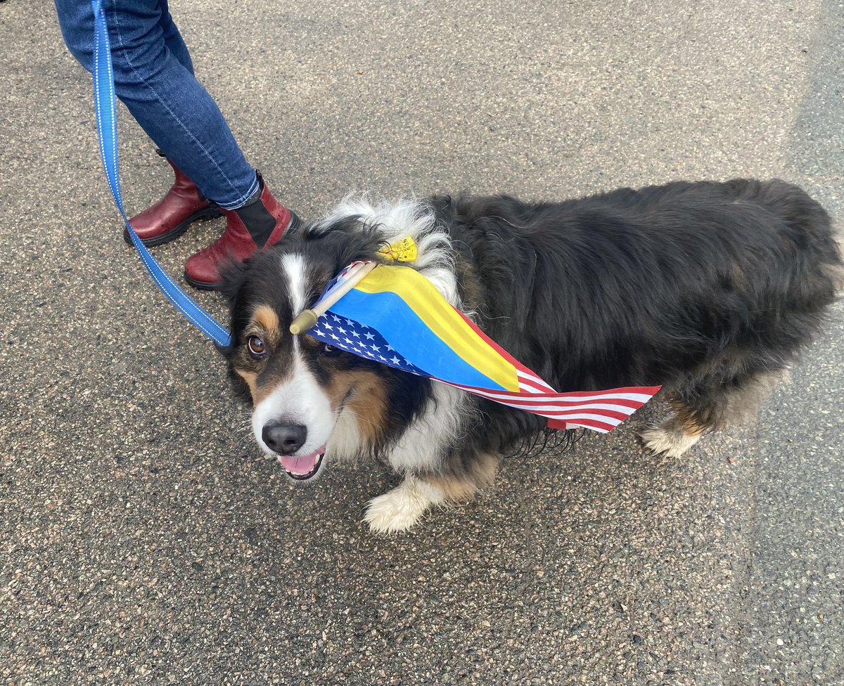 wbzSausville's tweet photo. Some more pics from today’s #StandWithUkraine️ rally on #Boston Common organized by @uccnorg. #UkraineRussianWar #RussianUkrainianWar @wbznewsradio https://t.co/df3reCz9HO