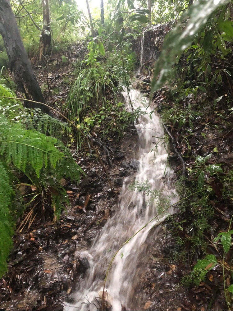 paula_madd's tweet photo. @TrainLinkWest Thanks so much.with heavy rain,Fills with water on rail corridor side and when full, spills down into our yard. We are west of Warrimoo station. Can give address if needed. https://t.co/G0iX1rrmxI