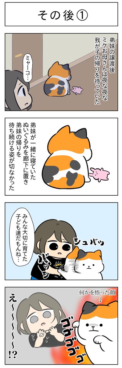「その後①」
(はる蔵さんの「ふうらい日和」第39回)

つづき「その後②」はこちら
⇒ https://t.co/VX9ss7w1Jc 