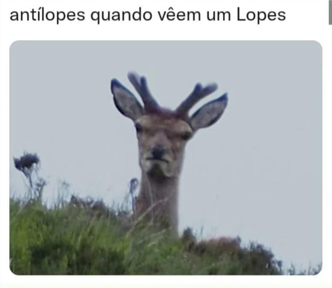 data science is just like astral projection tweet media