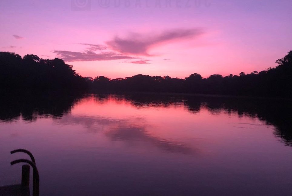 davidbalarezo's tweet photo. Y si alguien pregunta donde es esta fotografía, no es en el extranjero, pues si es en nuestro querido Ecuador, es en la Amazonía Ecuatoriana @SelvaLogde hermoso lugar para descansar y descubrir el encanto de la naturaleza. #Logde #Travel #Ecuador #Trip #sunrise #picoftheday https://t.co/MdUStKfDRe