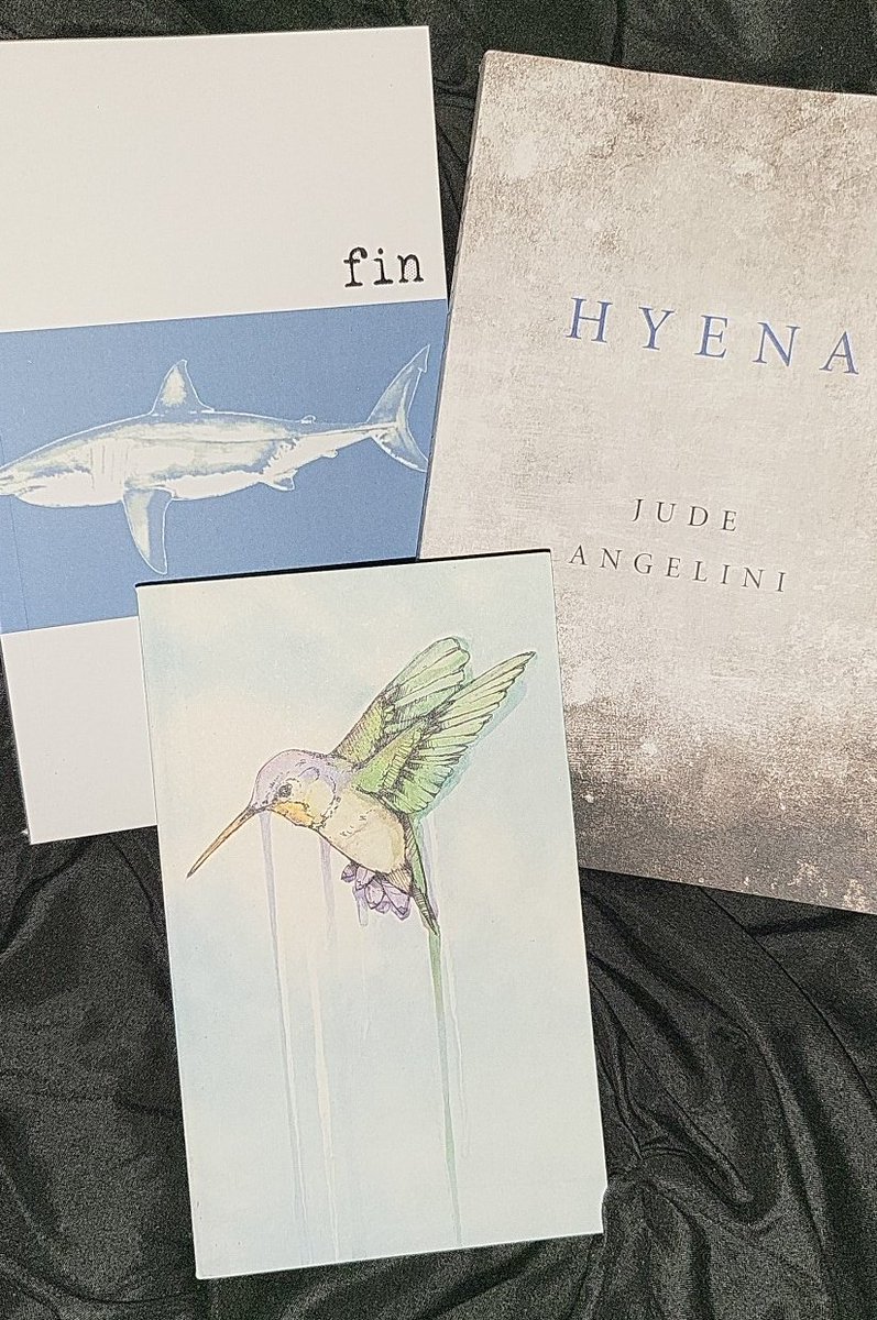 Happy Birthday to me! 😁🎁🎂🥳
<a href="/rude_jude/">hyena&hummingbird.author</a> <a href="/AllOutShow/">All Out Show</a>