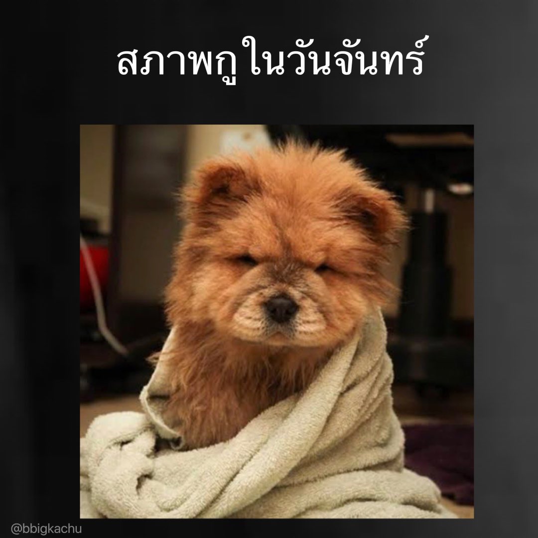 กูผู้เกลียดวันจันทร์ 55555555555555555555555555