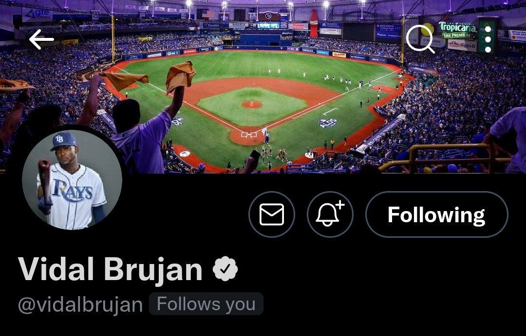Evan tweet media