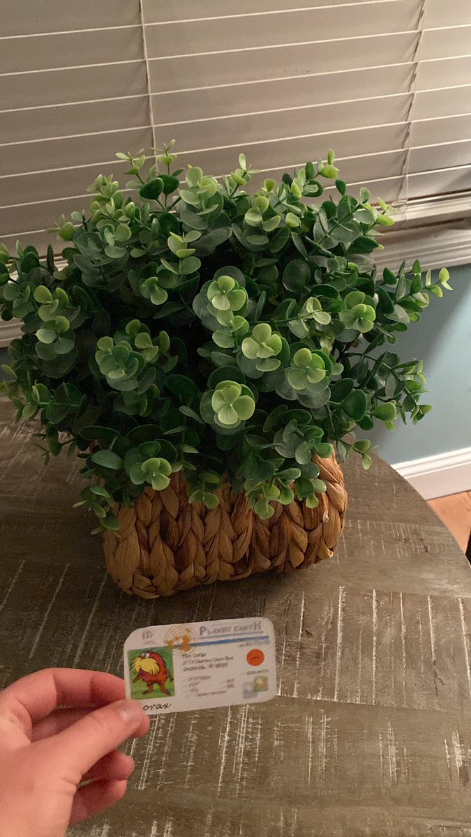 The soil my family and I put in our plant contains fertilizers and moss which allows the plant to grow happy and healthy!😁 #apesland <a href="/franklinlorax/">APES Project Lorax</a>