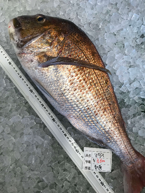 Tweets With Replies By Uoichi アプリで鮮魚販売 Uoichi App Twitter