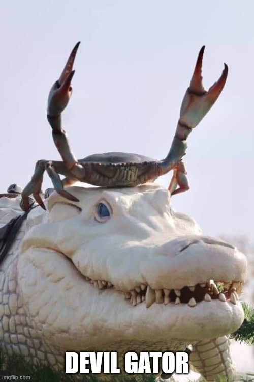 GM $FTM fam.

And specially for this devil ... I mean, Gator... I mean, Devil Gator... Well IDK

$FTM #FTM #NFT #NFTCommunity