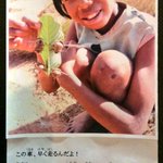 子どもクリエイティビティはときに残酷!虫をタイヤにして作る車!