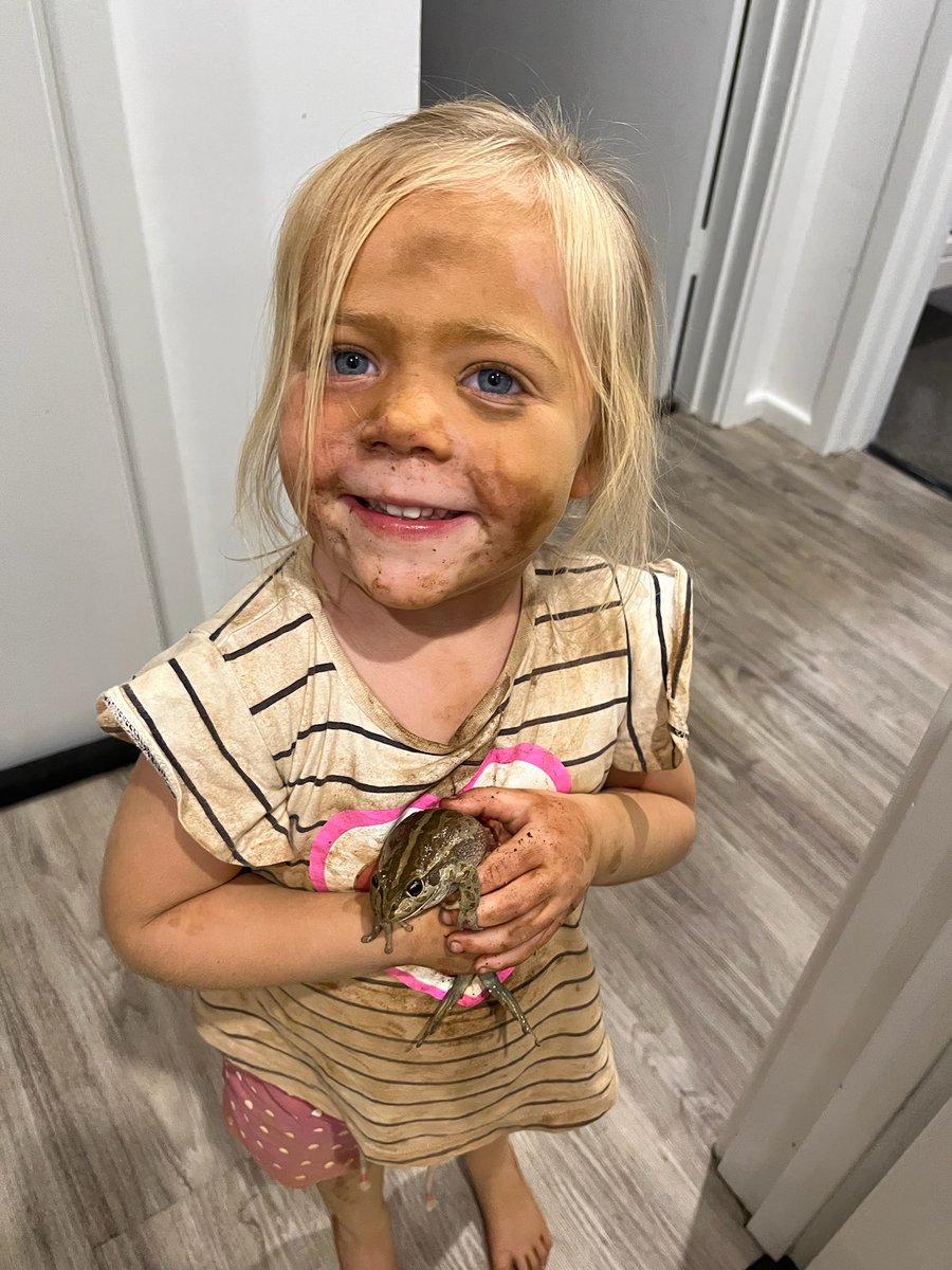 SamuelJHigham's tweet image. Dirt and Frogs.  All you need if you're a farm kid 👍
