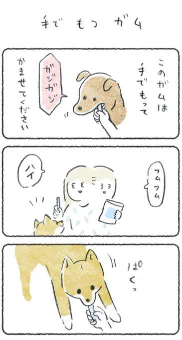 今この場で食べさせるガム、(飼い主が)ツラかった。リプにつづき貼ります#豆しばこつぶ 