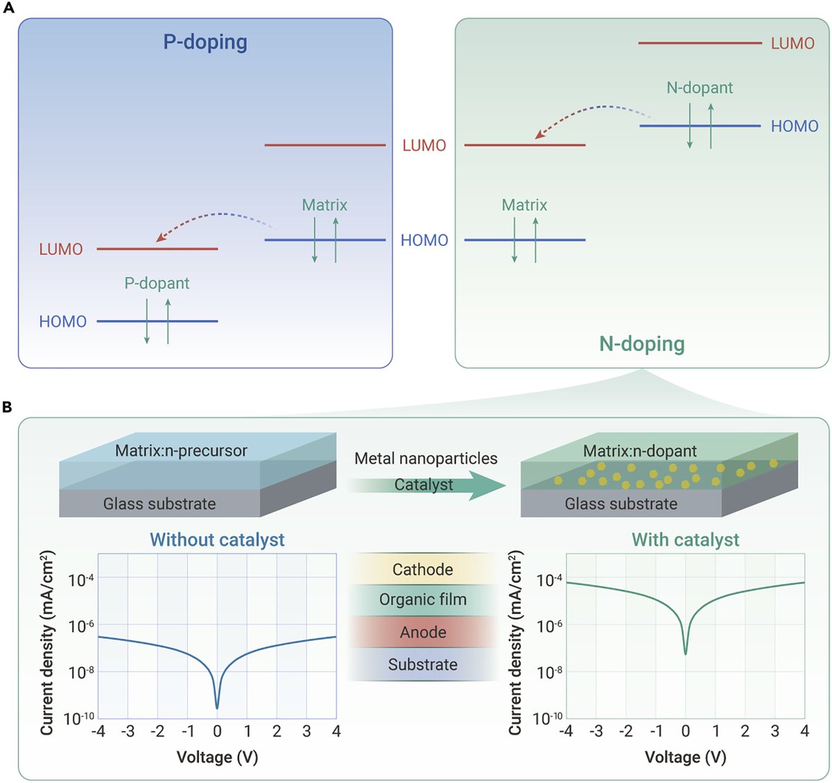 A new commentary online now in <a href="/The_InnovationJ/">The Innovation: a Cell Press partner journal</a>: Catalyzing n-doping. Learn more about the efficient n-doping strategy of #organic semiconductors recently unraveled. 
#semiconductores
doi.org/10.1016/j.xinn…