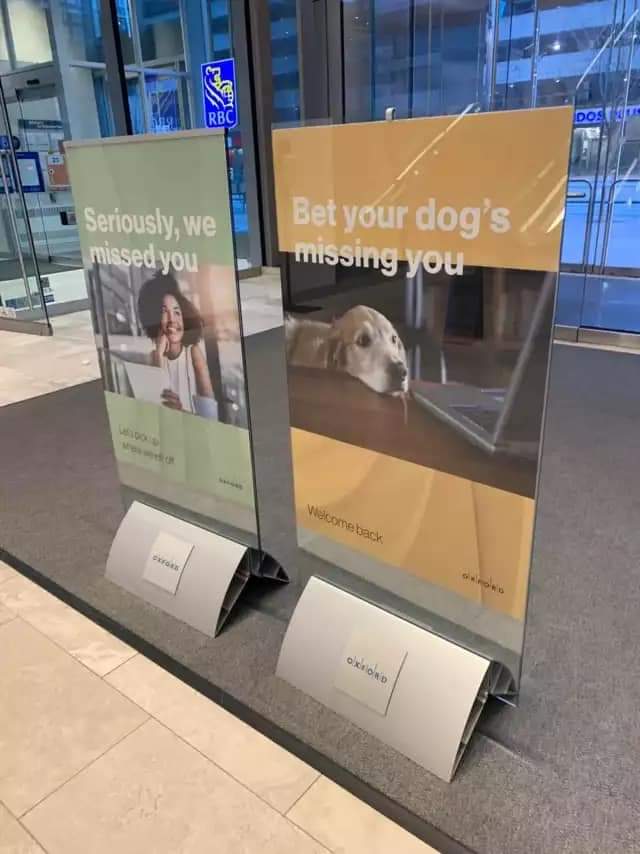 Audra Williams tweet media