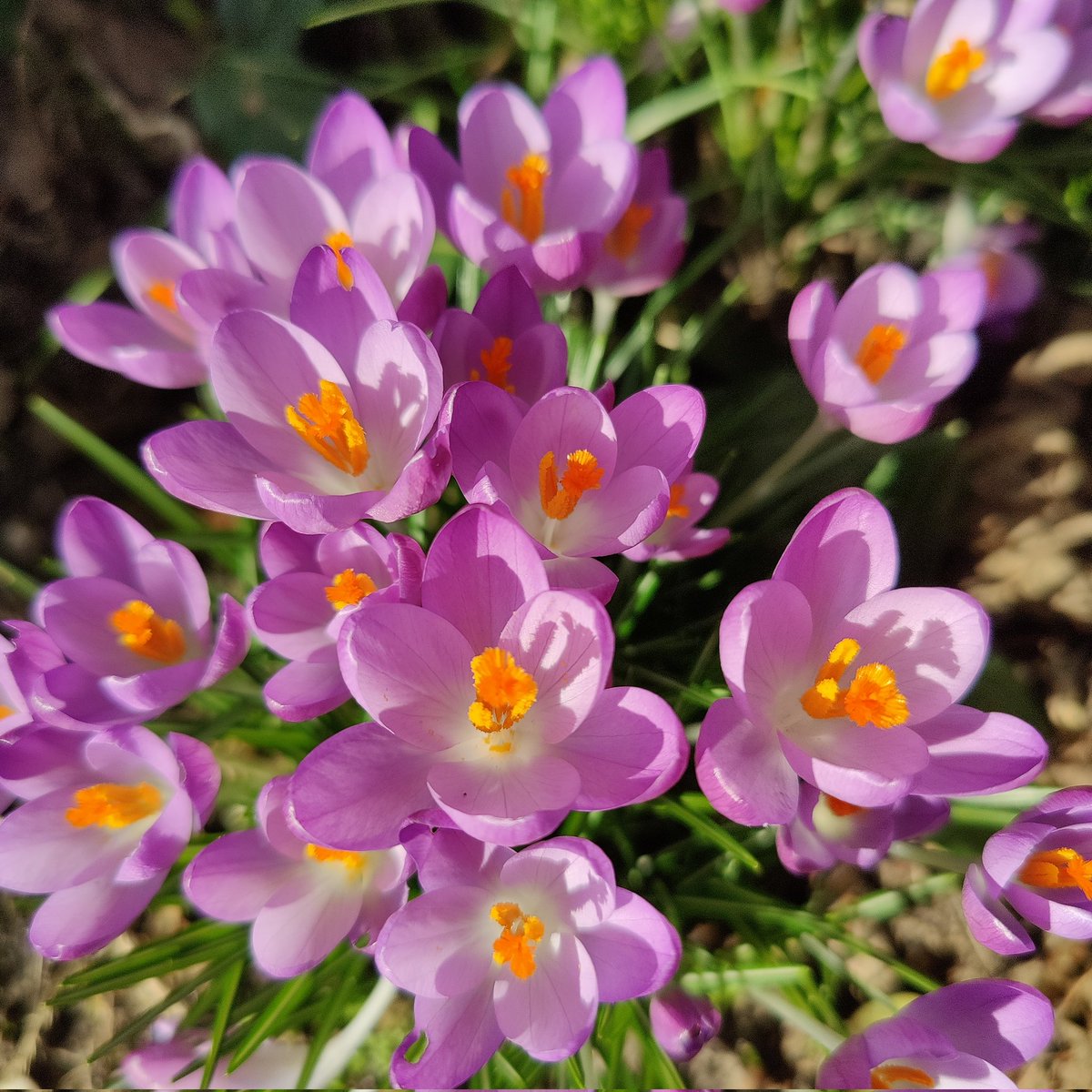 Beetje kleur als afleiding...