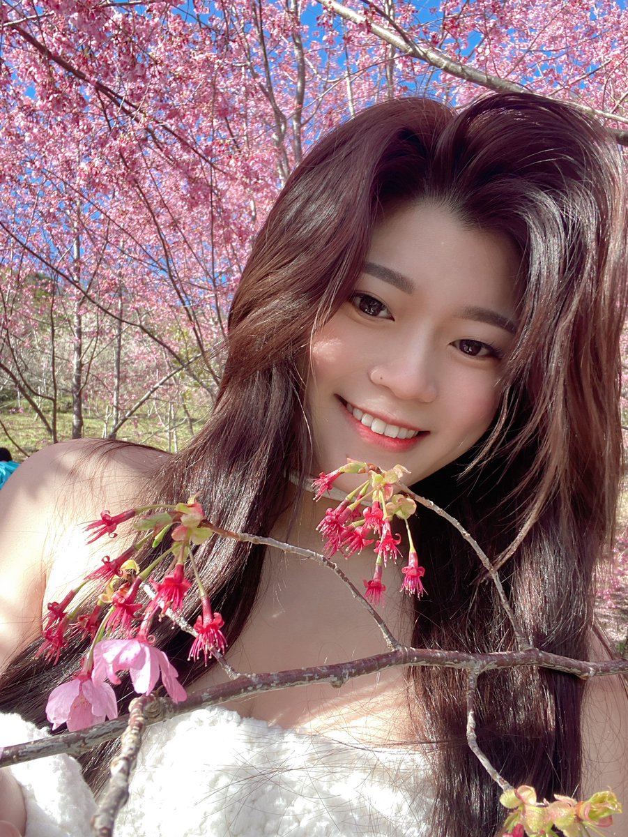 🌸🌸🌸

#私拍 #約拍 #團拍 #模特兒 #攝影 #日常 #甜美 #笑容 #可鹽可甜 #小姐姐 #櫻花